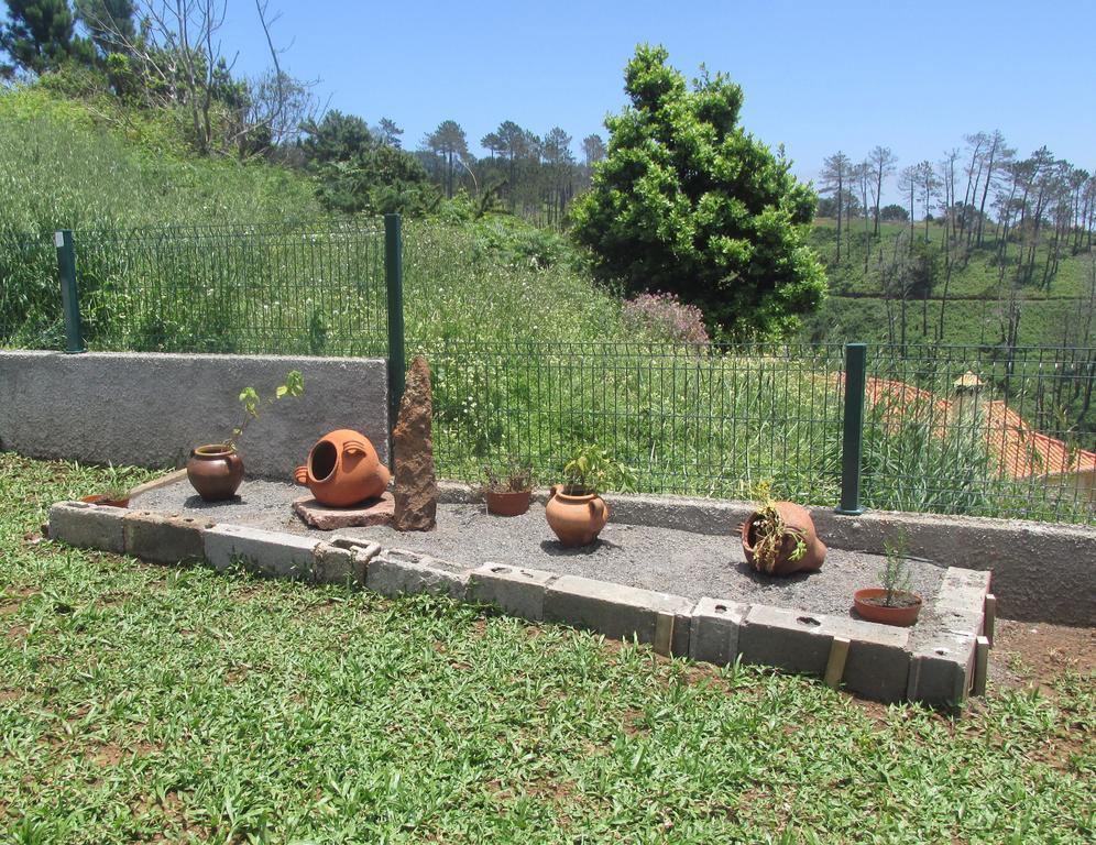 Villa Casa Formiga Fajã da Ovelha Exterior foto
